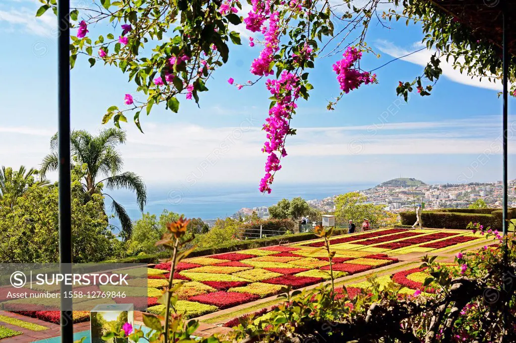 Funchal, botanical garden with view of the city