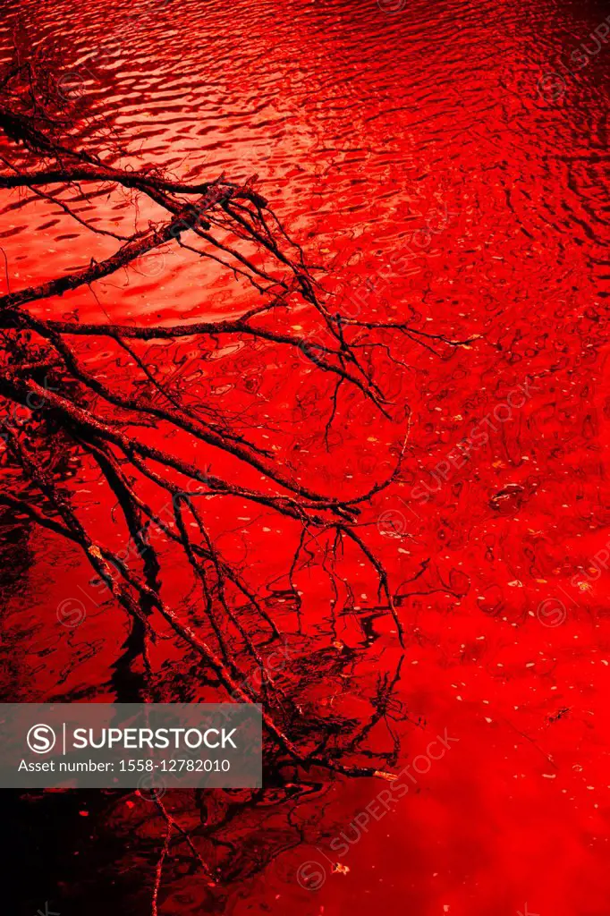Branches in red water M