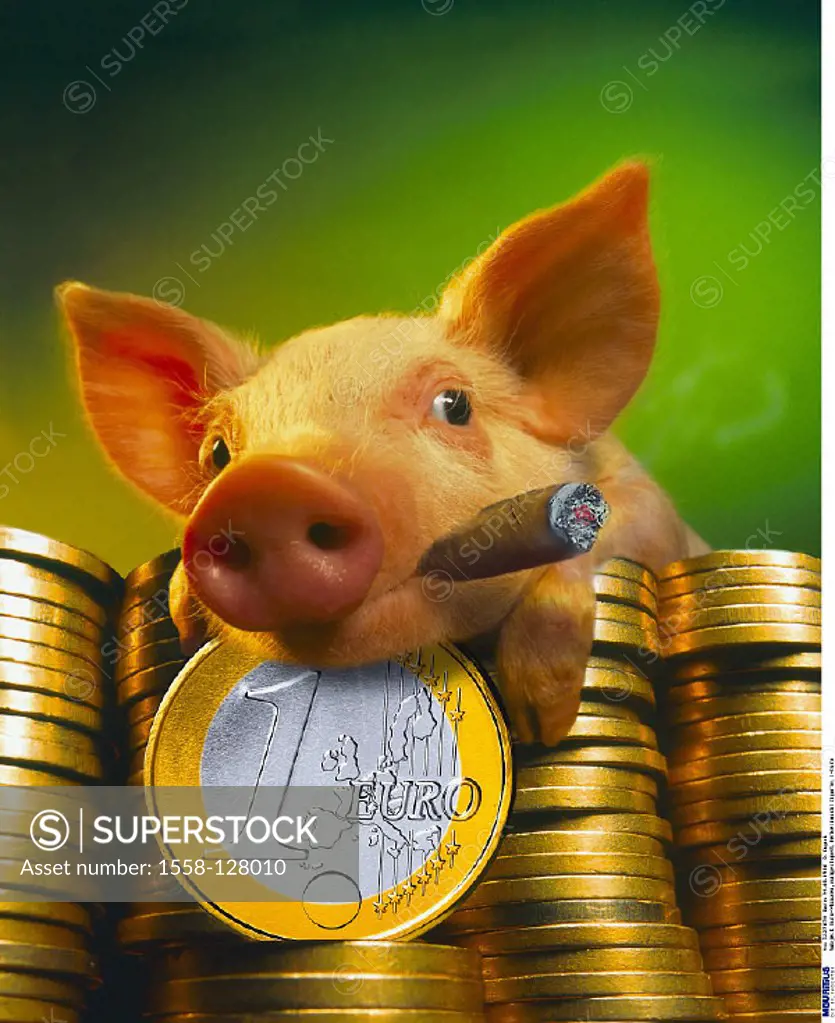 Euro, Coins, Stack, Piggy bank