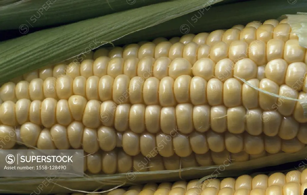 Cob, Grains od maize, Still life