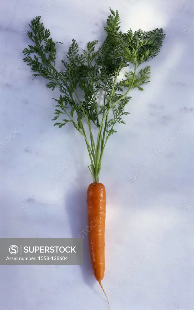 Carrot, Still life, Vegetable
