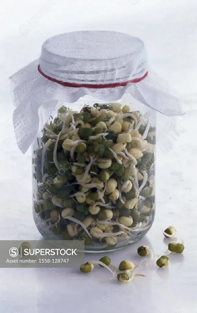 Still life, Glass, Mungbean sprouts
