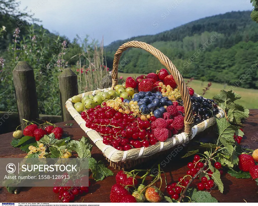 Garden, Wicker basket, Fruits, different