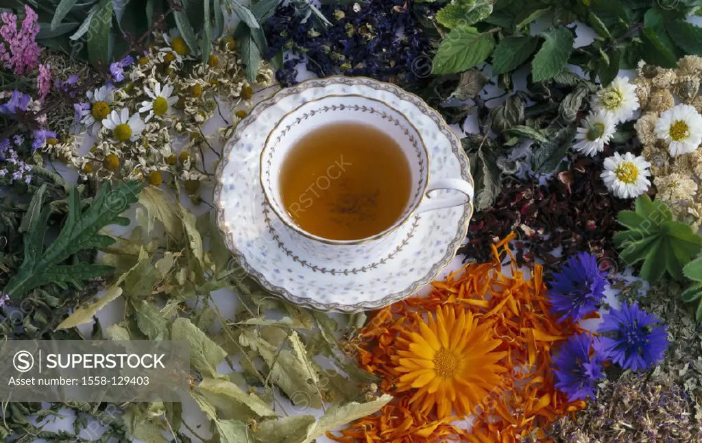 Teacup, Herbal tea, Herbs