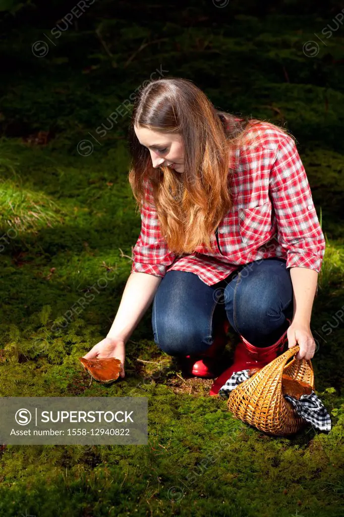 Young woman collecting mushrooms