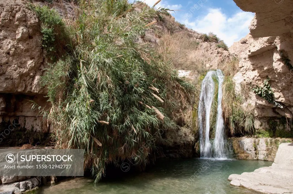 Waterfall, En Gedi Nature Reserve, Dead Sea, Israel