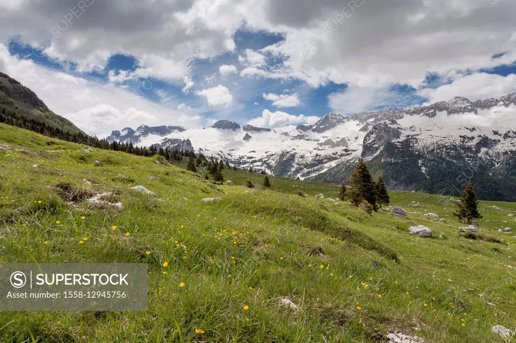 Landscape in the Julian Alps