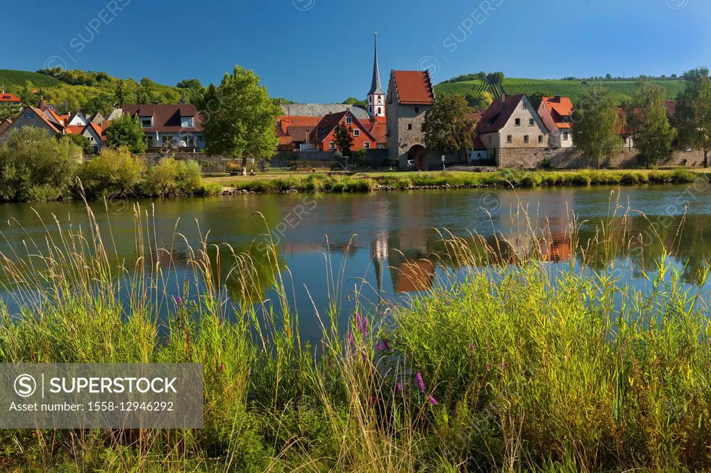 Germany, Bavaria, Lower Franconia, 'Frickenhausen am Main' (municipality),