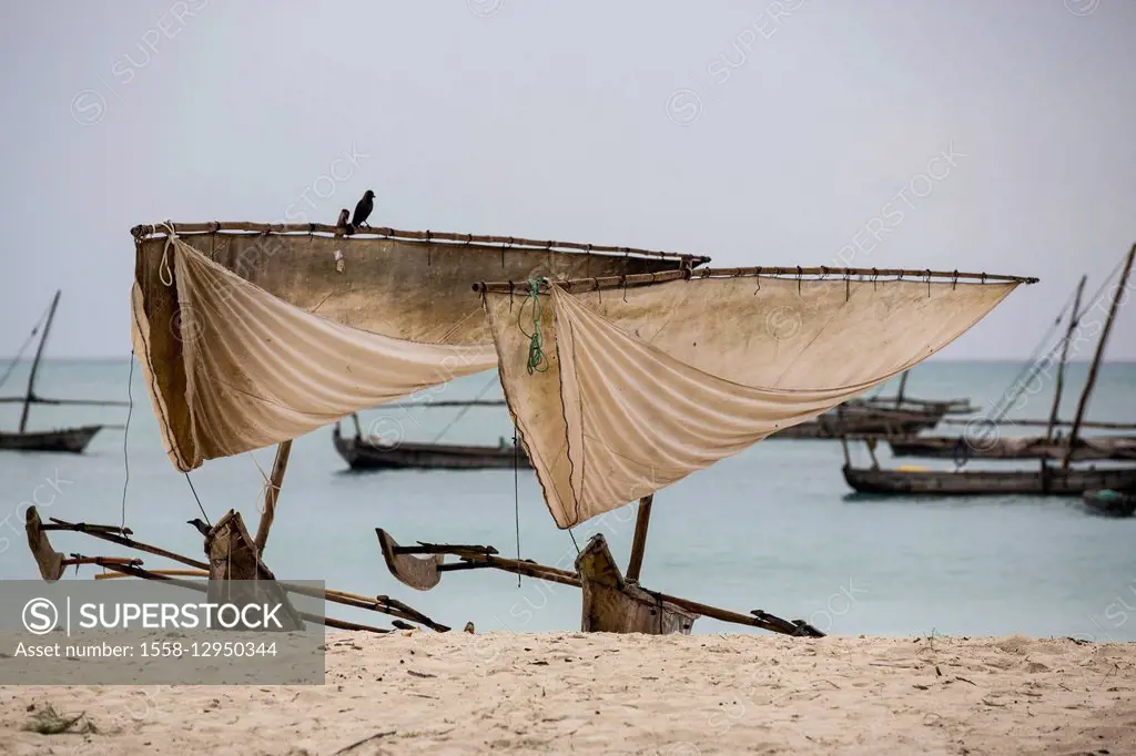 Tanzania, Zanzibar, Dhowon the beach