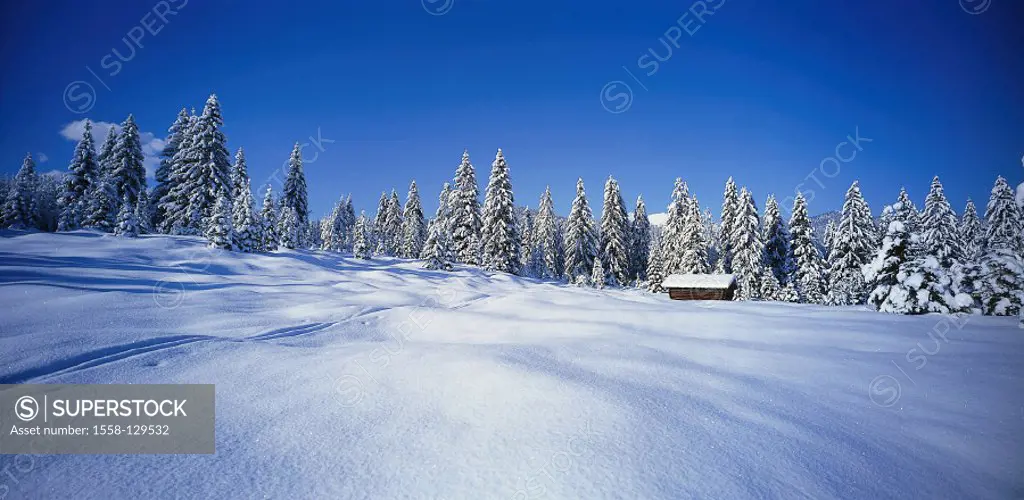 Nature, Winter landscape, Winter