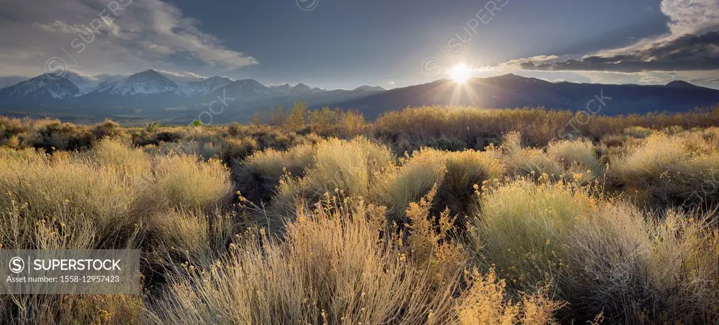 Owens River Valley, Sierra Nevada, California, USA