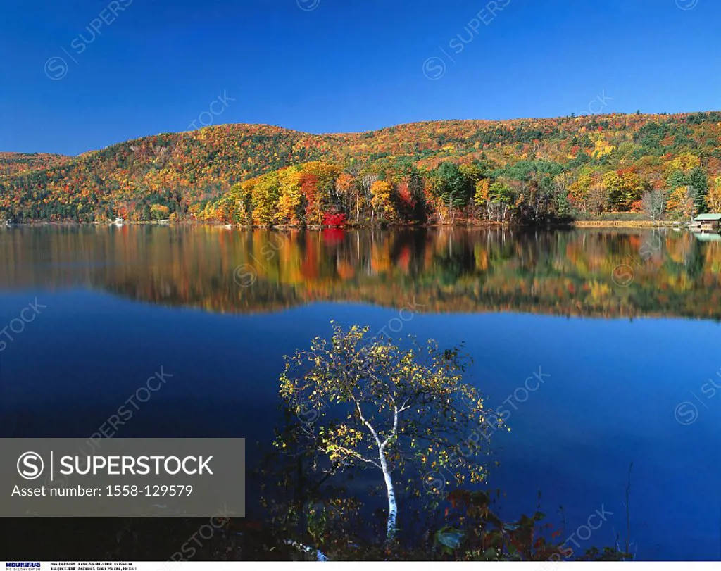 USA, America, Vermont, Lake Morey, Autumn