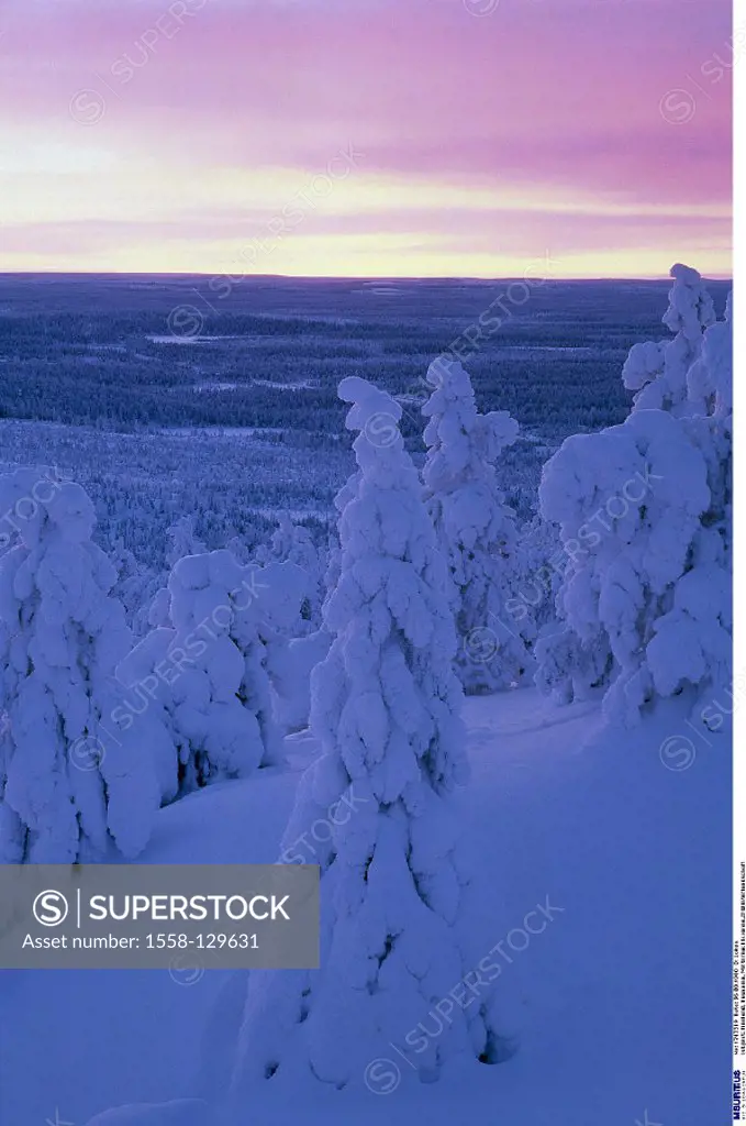 Finland, Kuusamo, Winter landscape