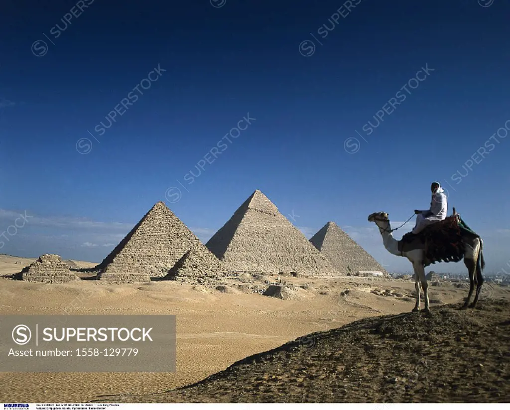 Egypt, Gizeh, Pyramiden, Bedoin, Camel