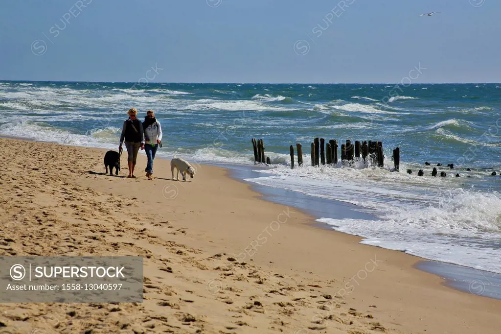 Strollers with dogs on the beach in front of Rantum (village) on the island of Sylt,