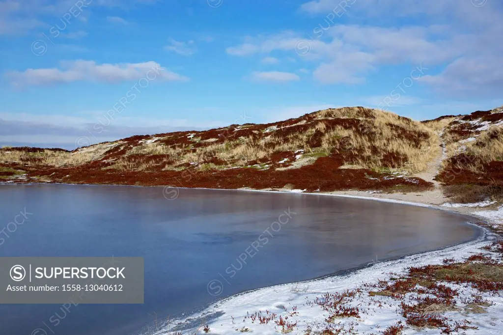 Icebound water pools in the Moeskental in the dunes with Hörnum on the island of Sylt,