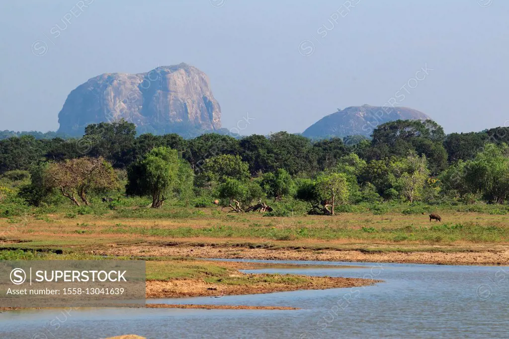 Elephant rock in the Yala National Park, Sri Lanka,