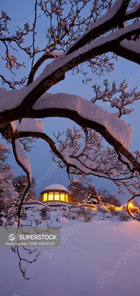 snow-covered branches, Beethoven's temples in the 'Kurpark', Baden (spa town) bei Vienna, thermal region, Lower Austria, Austria,
