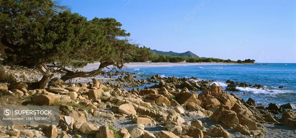 Italy, island Sardinia, Golfo di´Orosei, La Bidderosa destination coast, beach, sea, Mediterranean, rocks, stones, stony, tree, deserted, nature conse...