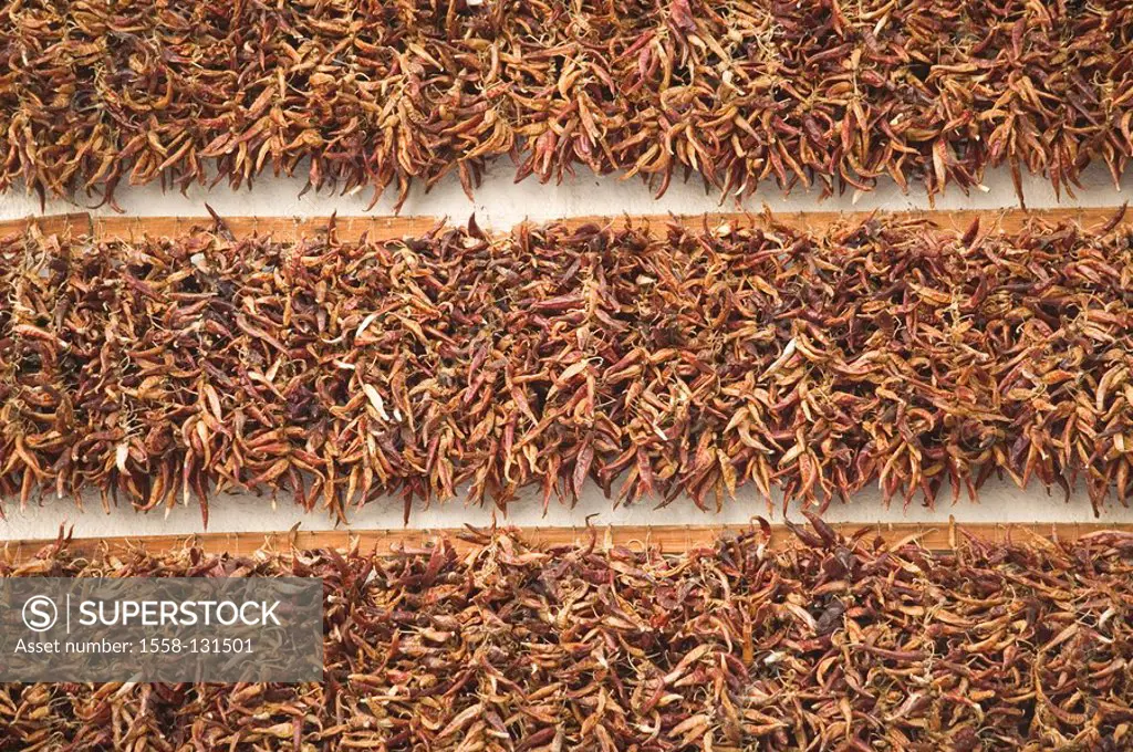 Hungary, Tihany, paprika-house, house-wall, chilis, focused, dries, west-Hungary, house, stores, paprika-specialities, specialities, food, vegetables,...