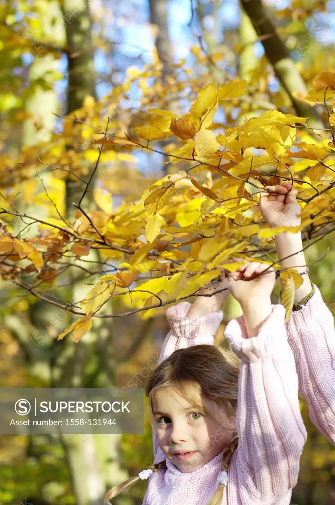Children, girl, two, autumn, forest, plays, tree, branches, holds on, smiling, watching, camera, portrait, detail, child, 6-10 years, fun, game, walk,...