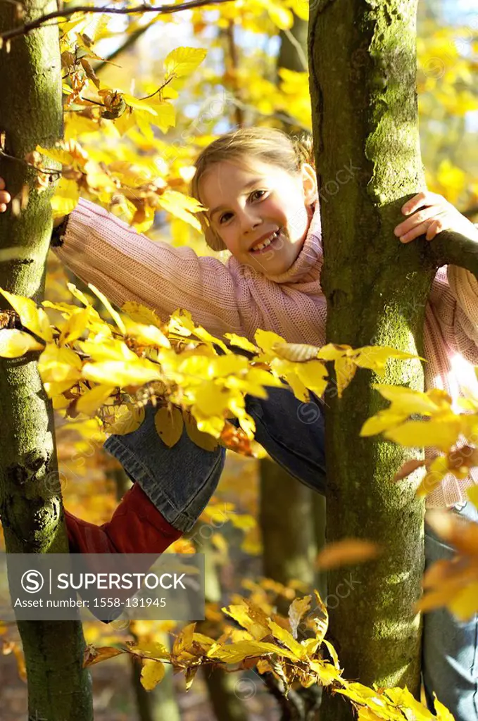 Child, girl, autumn, tree, climbs, cheerfully, laughs, watching, camera, child, 6-10 years, fun, game, forest, autumn forest, beech, fall foliage, bro...