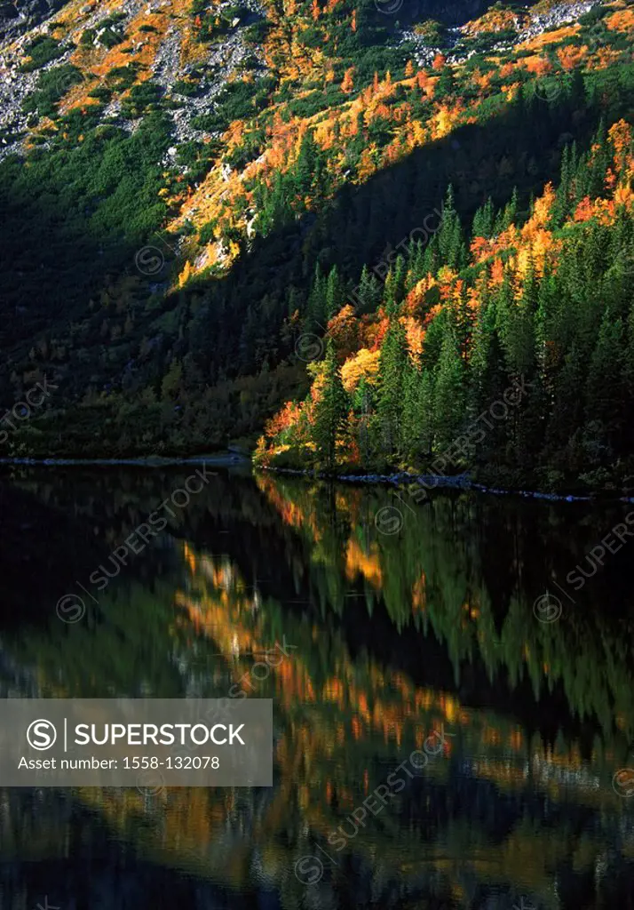 Poland, Podhale, Tatra National park, Sea Eye, forest, reflection, water-surface, Europe, Eastern Europe, national-park, reservation, landscape, trees...