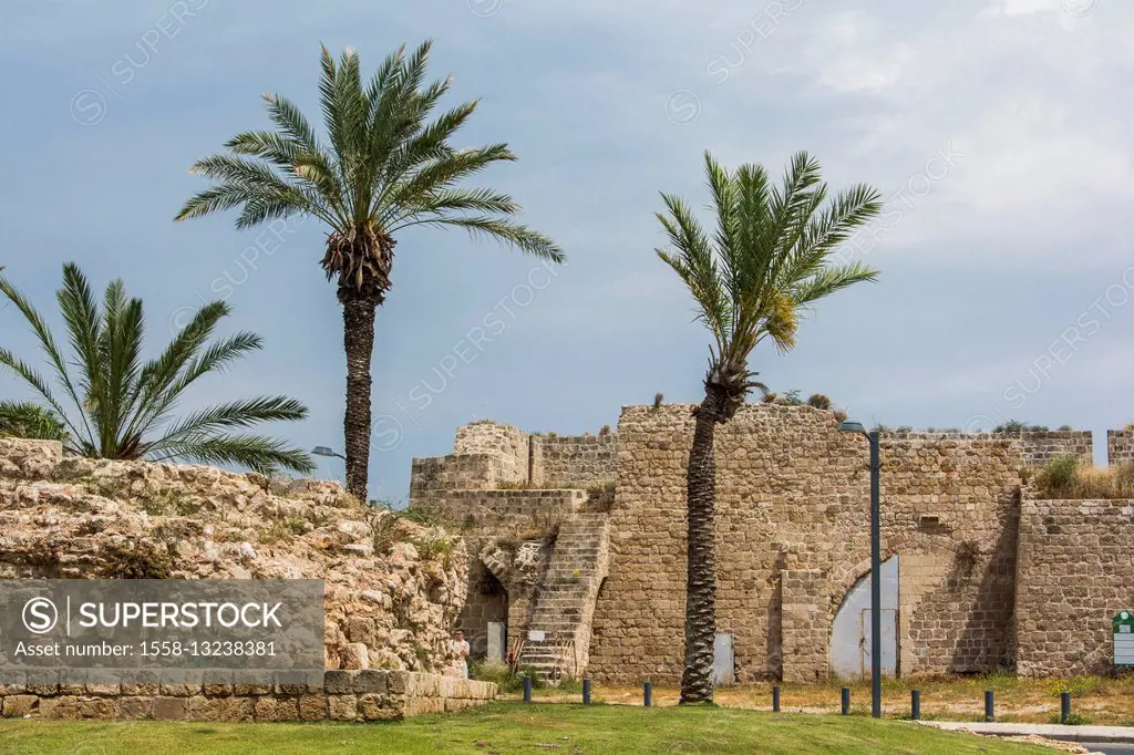 Israel, Akko, old town, port town, old town wall, city wall, town gate, palms,