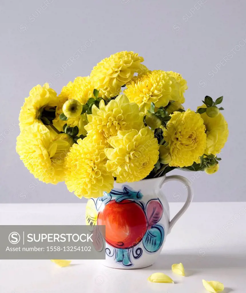 Yellow dahlias in vase