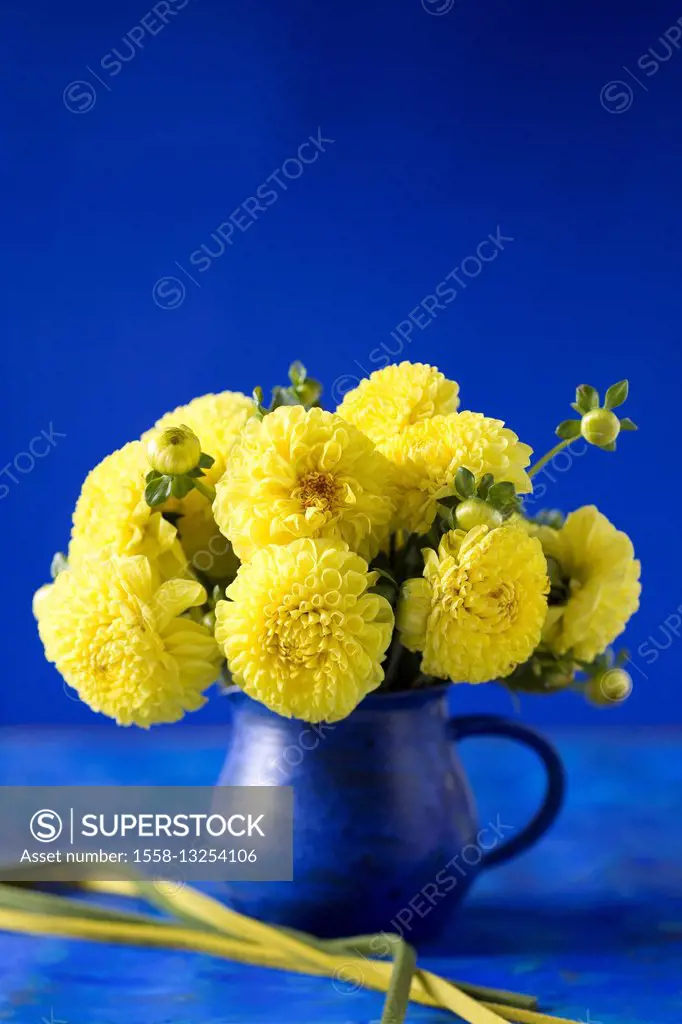 Yellow dahlias in vase