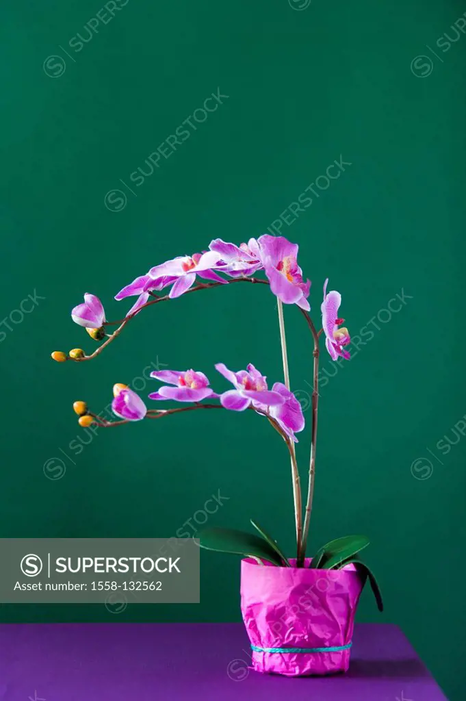 Table, Planter, art-flowers, orchid,