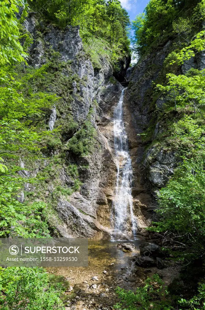 Waterfall Schleierfall, Kalkalpen National Park, Upper Austria, Austria