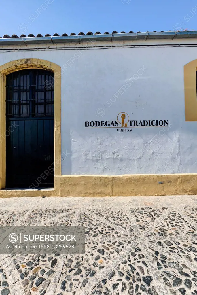 Bodega Tradicion, Jerez de la Frontera, Andalusia, Spain, Europe
