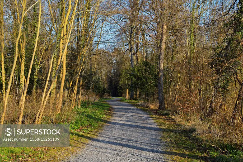 Gravel Path through Park in Early Spring, Kleinheubach, Churfranken, Spessart, Bavaria, Germany