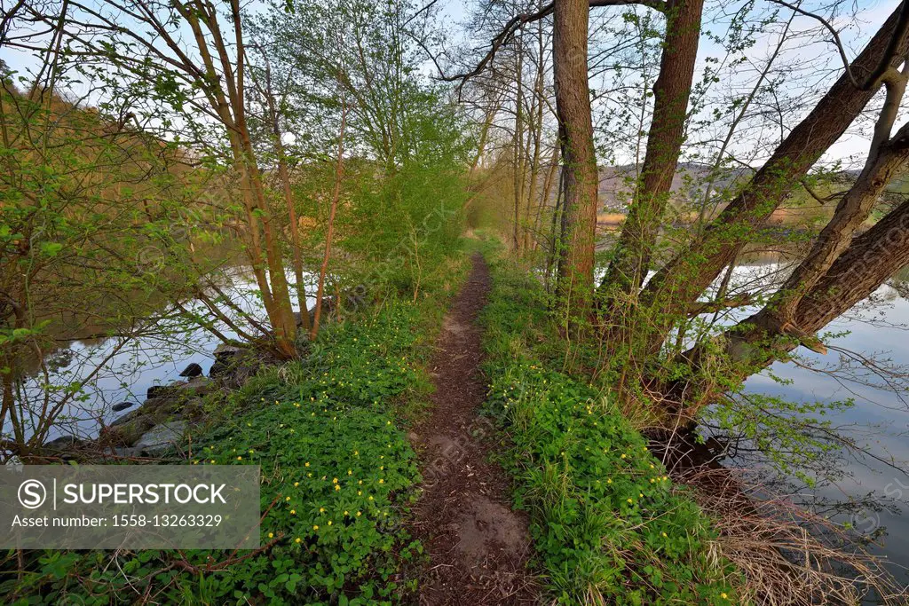 Path of Embankment in the River Main, Spring, Collenberg, Churfranken, Spessart, Miltenberg-District, Bavaria, Germany