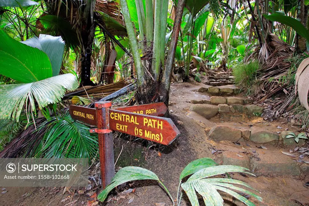 Seychelles, island Praslin, Vall de May national-park, footpath, direction sign, deserted, Indian ocean island state rain-forest jungles plants, bushe...