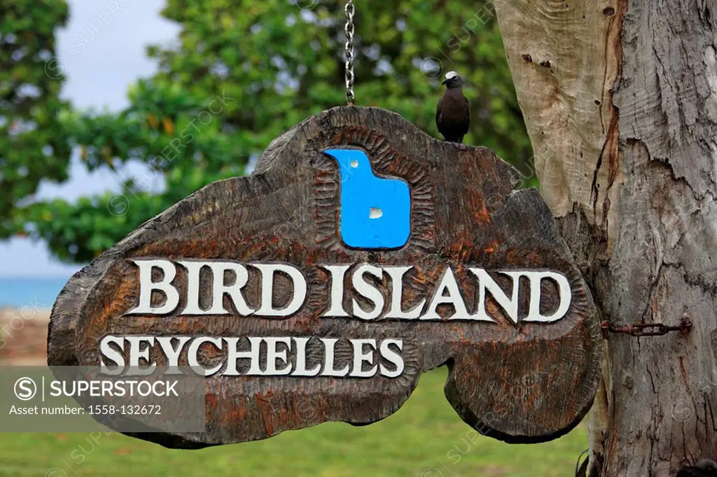 Seychelles, Bird island, wood-sign, stroke, Indian ocean, island state, log, trunk, sign, sign, hint, information, symbol, nature,