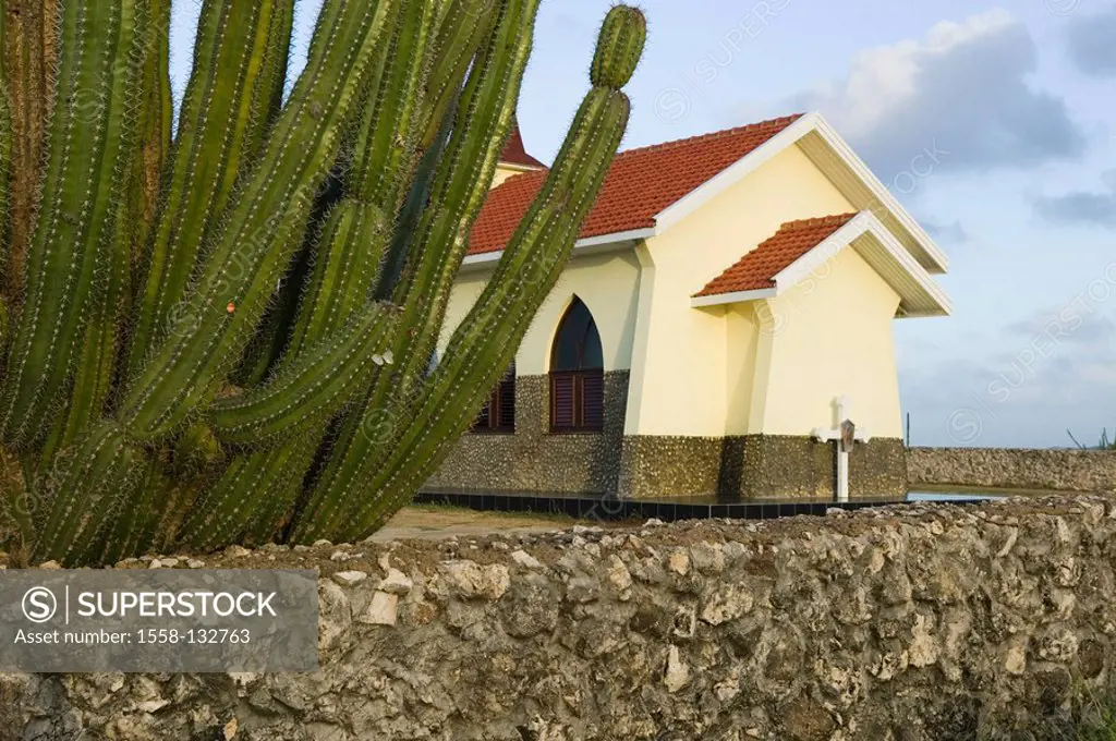 Aruba, North-coast, Alto Vista, chapel, cactus, detail, ABC-Inseln, little one Antilles, Dutch Antilles, Caribbean, island, Caribbean-island, vacation...