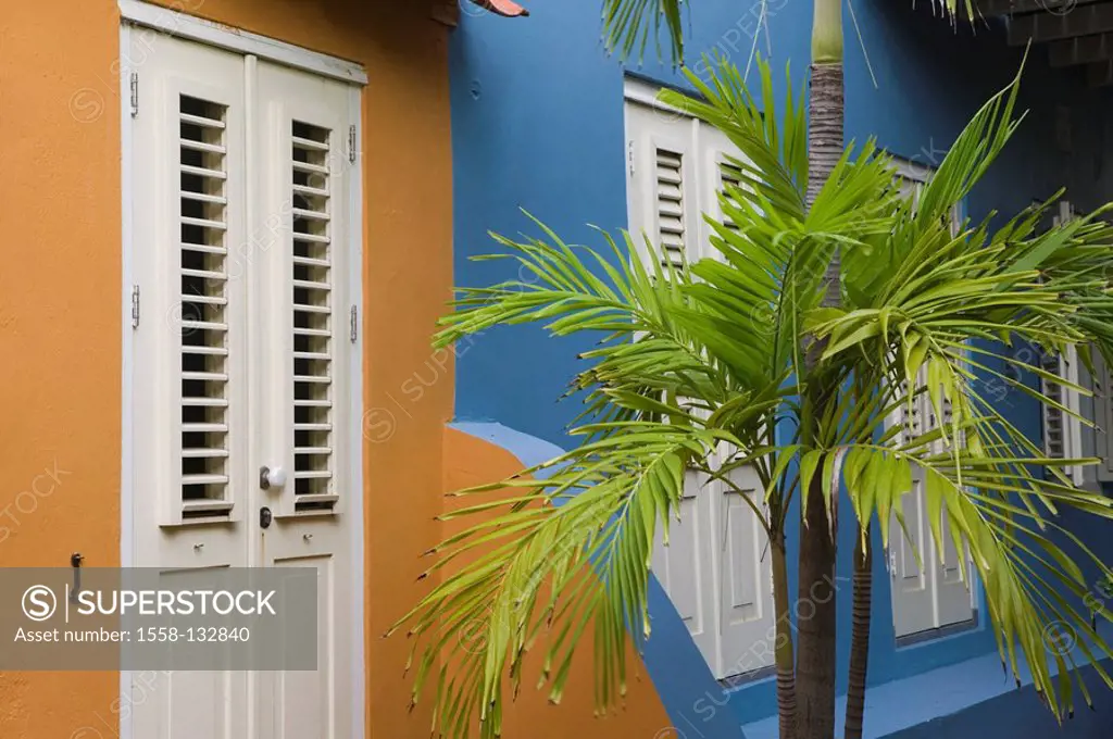 Curacao, Willemstad, Otrobanda, house-facades, colorfully, palm, detail, ABC-Inseln, little one Antilles, Dutch Antilles, Caribbean, island, Caribbean...