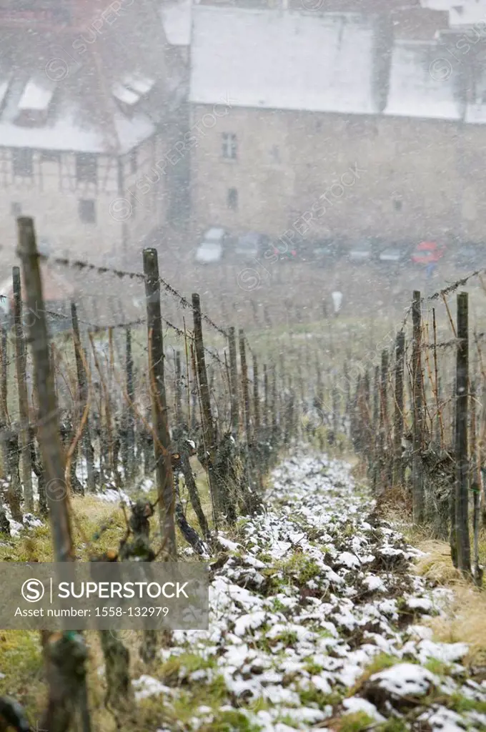 France, Alsace, department Haut-Rhin, Rappoltsweiler, vineyard, locality perspective, winter, snowfall, Ribeauville, wine-growing-area, wine-region, r...