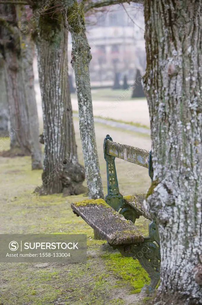 France, department Seine-et-Marne, chateau de Fontainebleau, palace-park, trees, park-bank, old, winter, park, park, broad-leafed trees, Spazierweg, w...