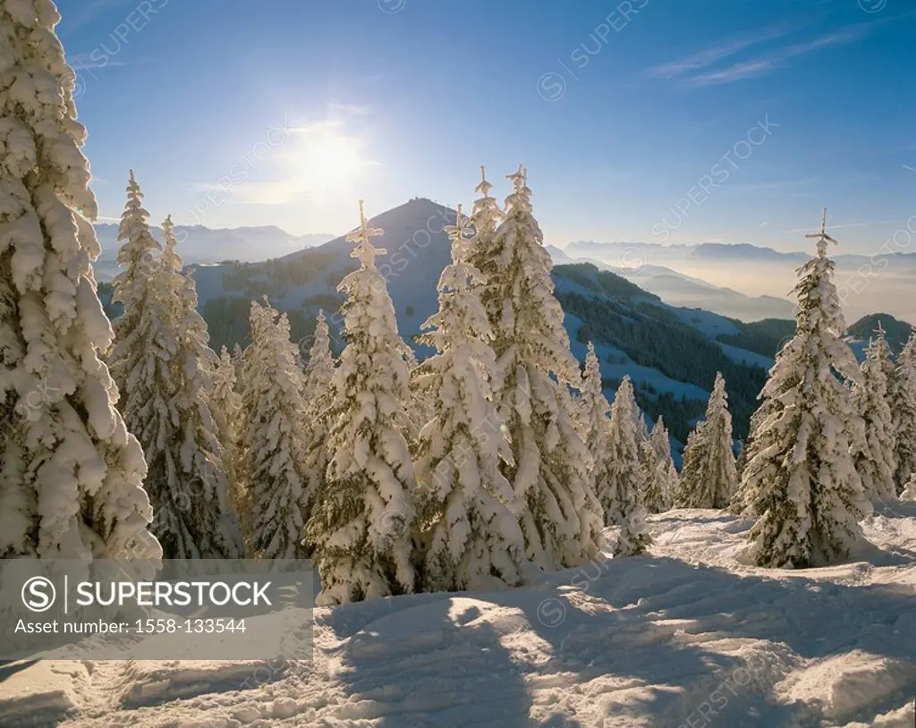 Austria, Tyrol, Wilder Kaiser, winter-landscape, back light, North-Tyrol, Brixental, mountain scenery, Kaisergebirge, mountains, interest-mountain, Ho...