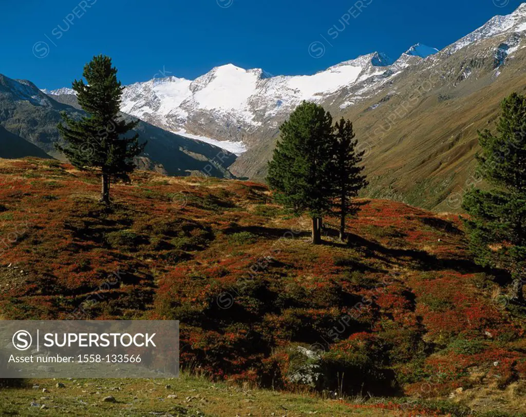 Austria, Tyrol, Oetz Valley, Hochgurgl, mountain scenery, autumn, North-Tyrol, mountain scenery, Alps, mountains, mountain-meadows, vegetation, alpine...