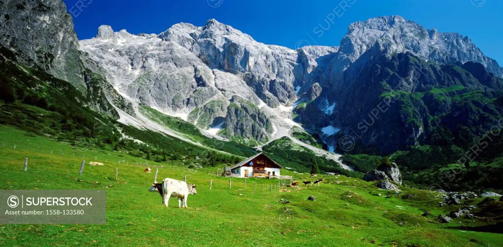 Austria, Salzburger Land, Pongau, Stegmoosalm, summer, mountains, high mountain regions, mountain scenery, Hochkönig 2941 m, Alm, Almhütte, meadows, m...