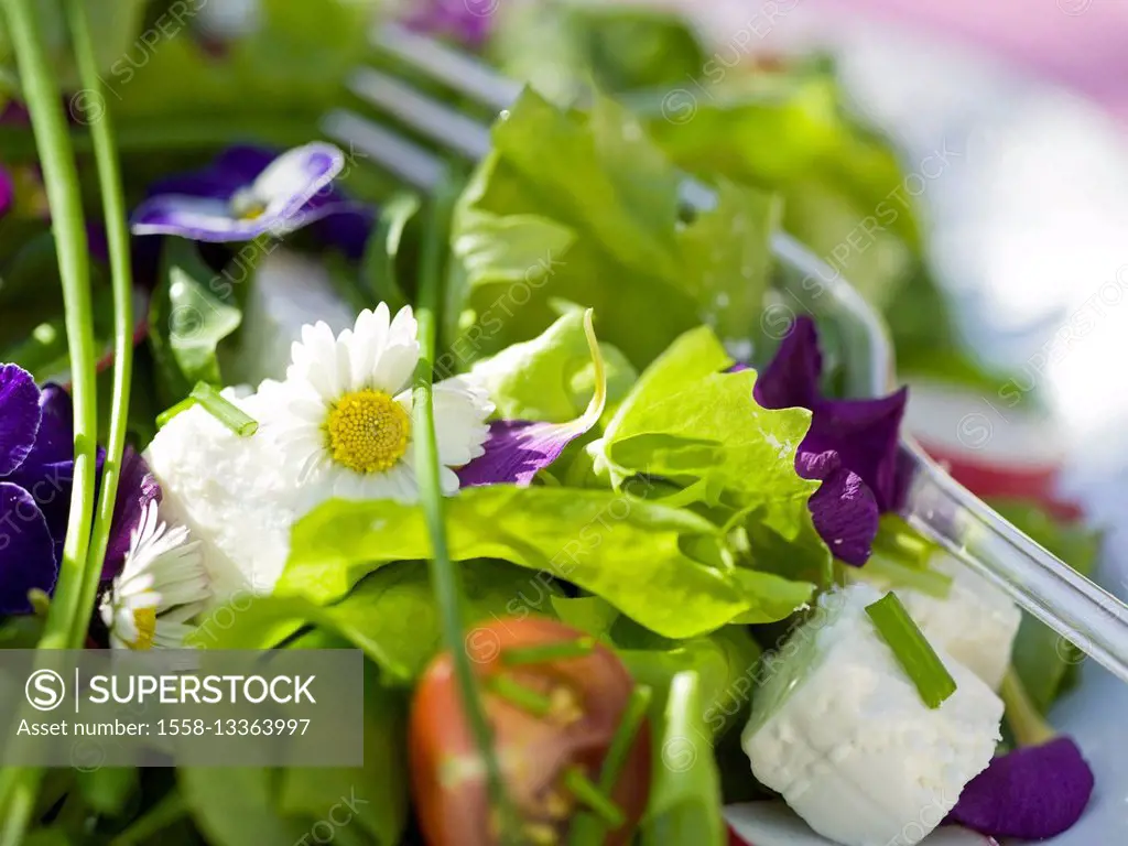 Summer salad with daisies and pansies
