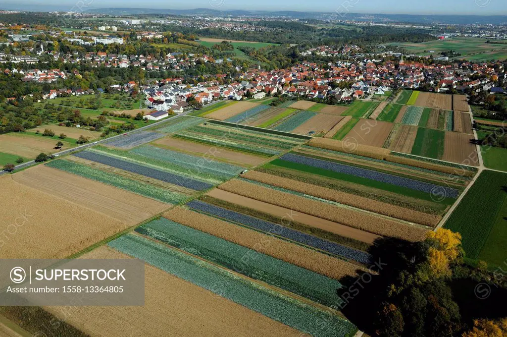 close Stuttgart-Plieningen, fields with Filderkraut (cabbage), Germany, Baden-Wuerttemberg, aerial picture, aerial photo