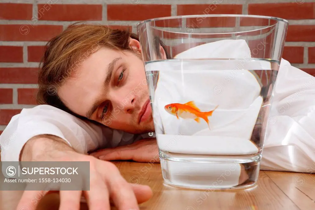 Table, goldfish-glass, man, young, seriously, leans, fish, views, bored, portrait, people, 20-30 years, 30-40 years, dark-blond, Dreitagebart, sitting...