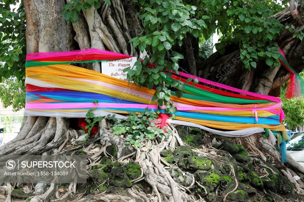 Thailand, Nakhon Pathom, tree, ribbons, colorfully, Buddhism,