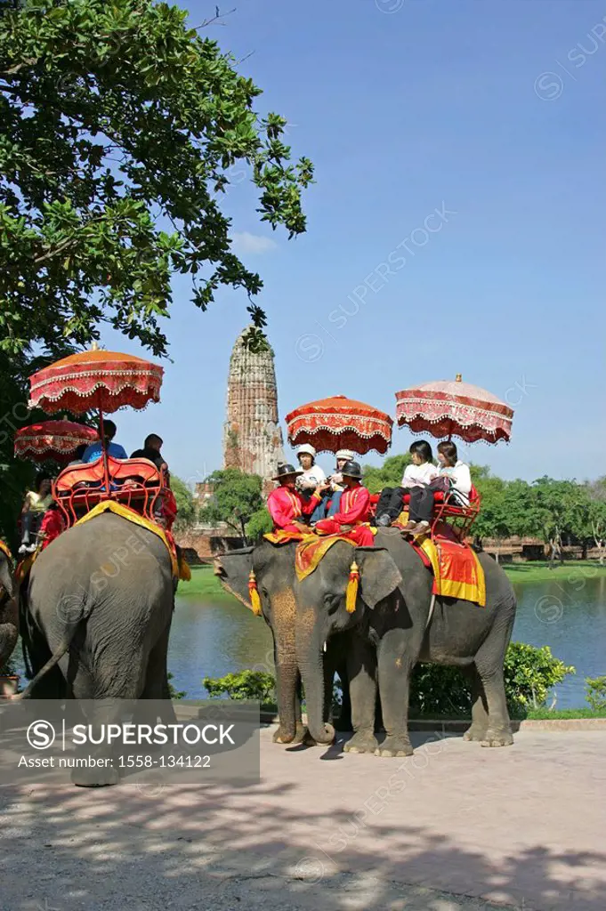 Thailand, Ayutthaya, wade Ratchaburana, ruins, tourists, elephants, rides,