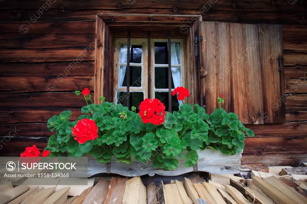 Austria, Tyrol, house, old, rustic, detail, windows, flower-boxes, geraniums, spring, Karwendelregion, wood-house, residence, farmhouse, blockhouse, a...